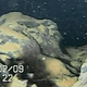 Lumps of what appear to be melted nuclear fuel, which fell to the bottom of reactor No. 1—the hardest hit of the three.